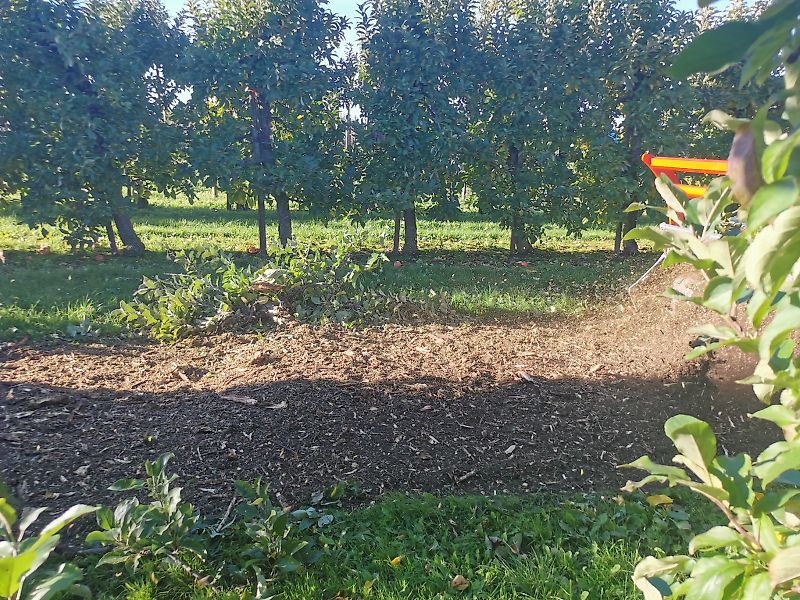 Ventura TFVMFD 250 ELSA Forstmulcher