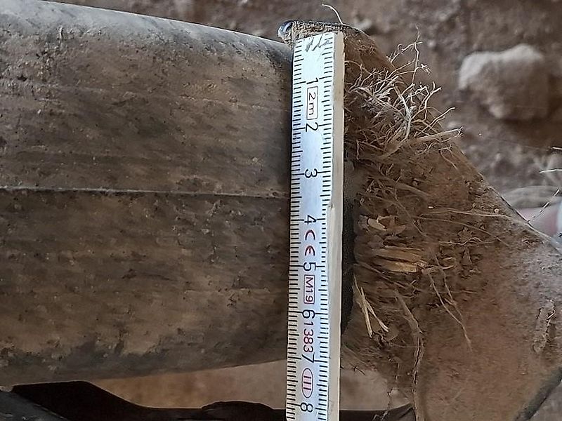 Horsch FOCUS 6 TD 3 - Punkt