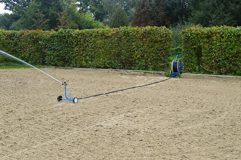 Buchholz Wasserprinz